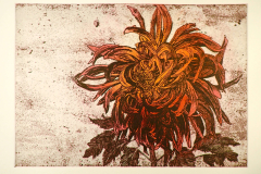 dahlia-rood-en-geel